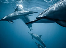 九游体育app官方下载-亚足联：40强赛明年3月、6月进行 12强赛9月进行